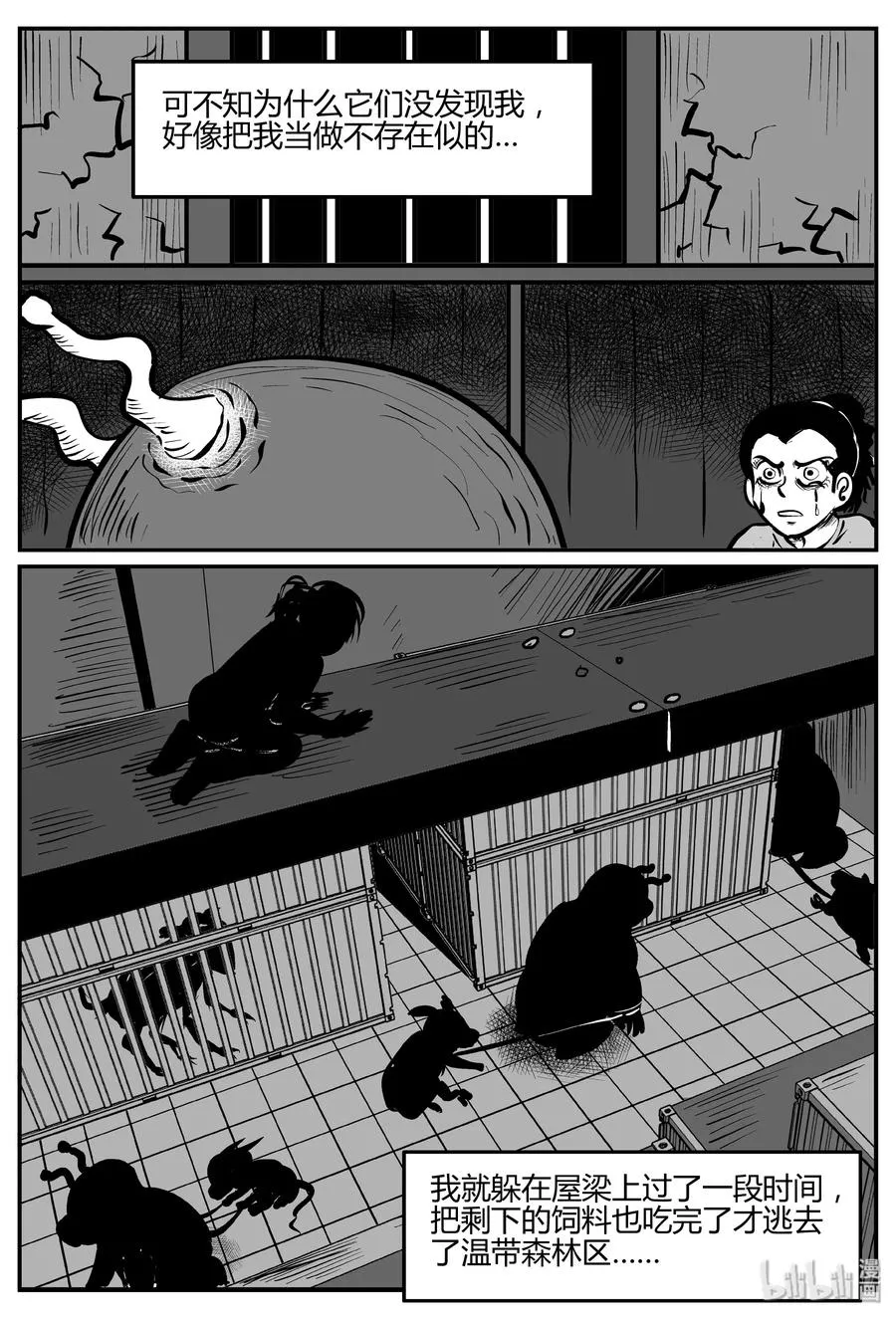 063 它：舟（4）2