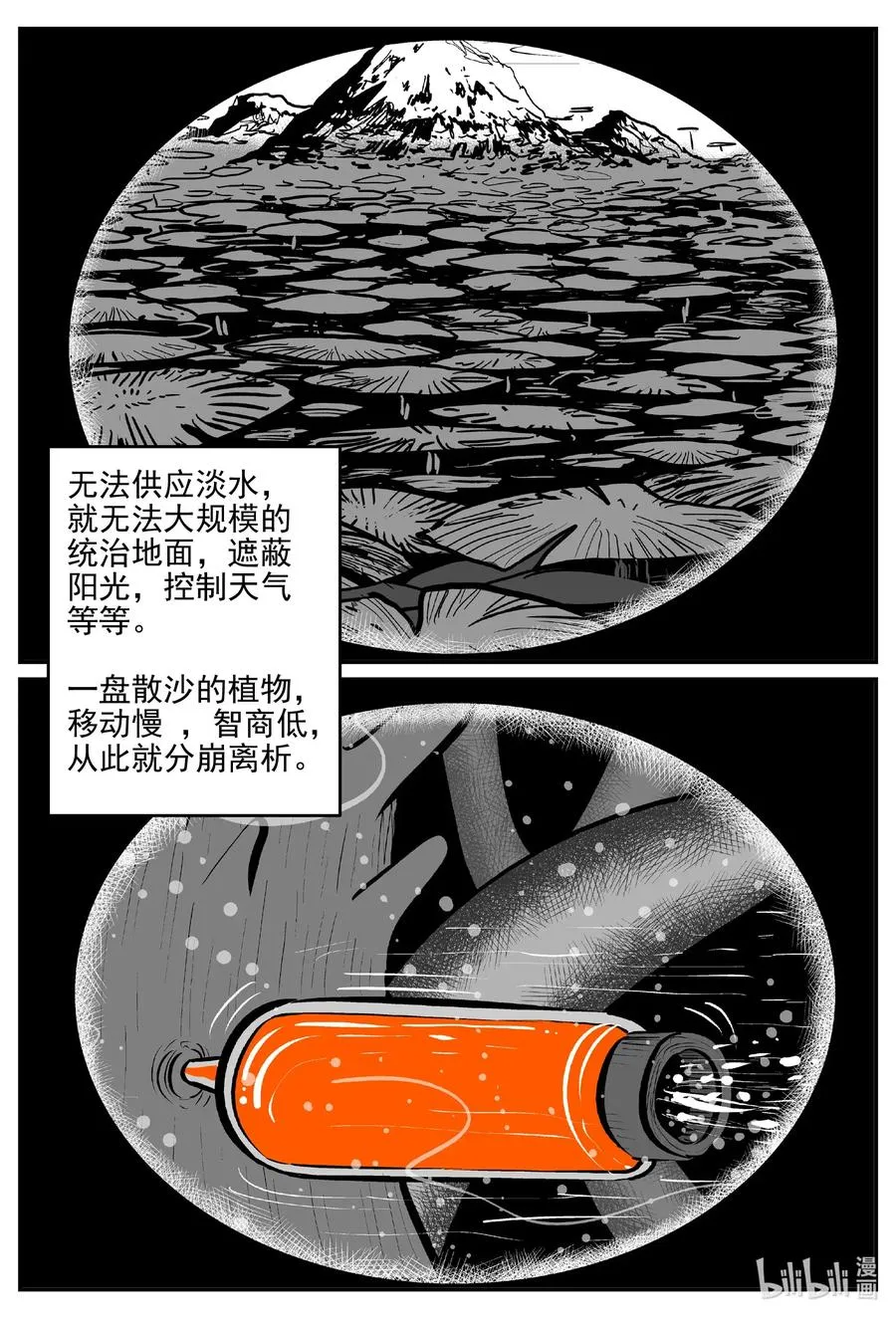 496 它74