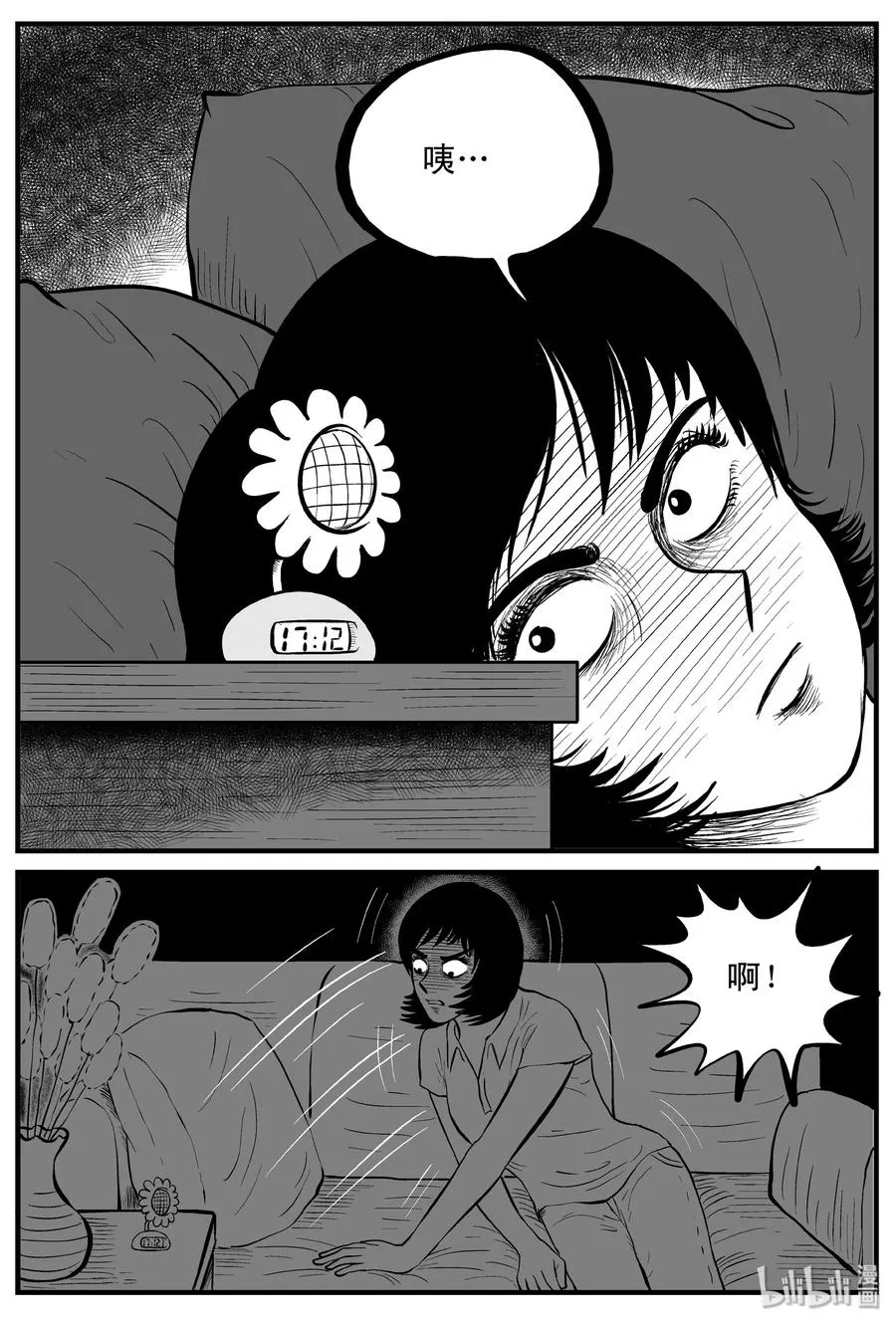 118 鹦鹉+囍2