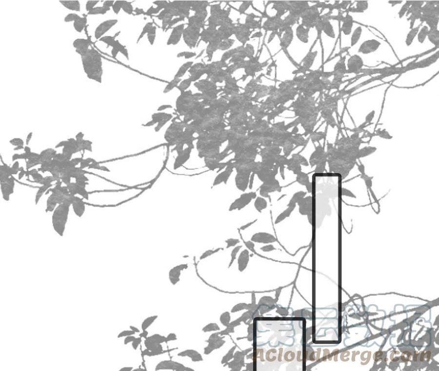 太子参健脾四神汤漫画,第204话 晚榕的心机5图