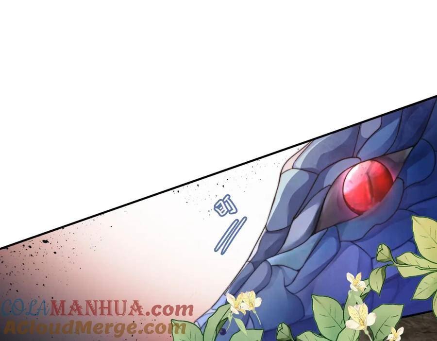 第167话 抉择4
