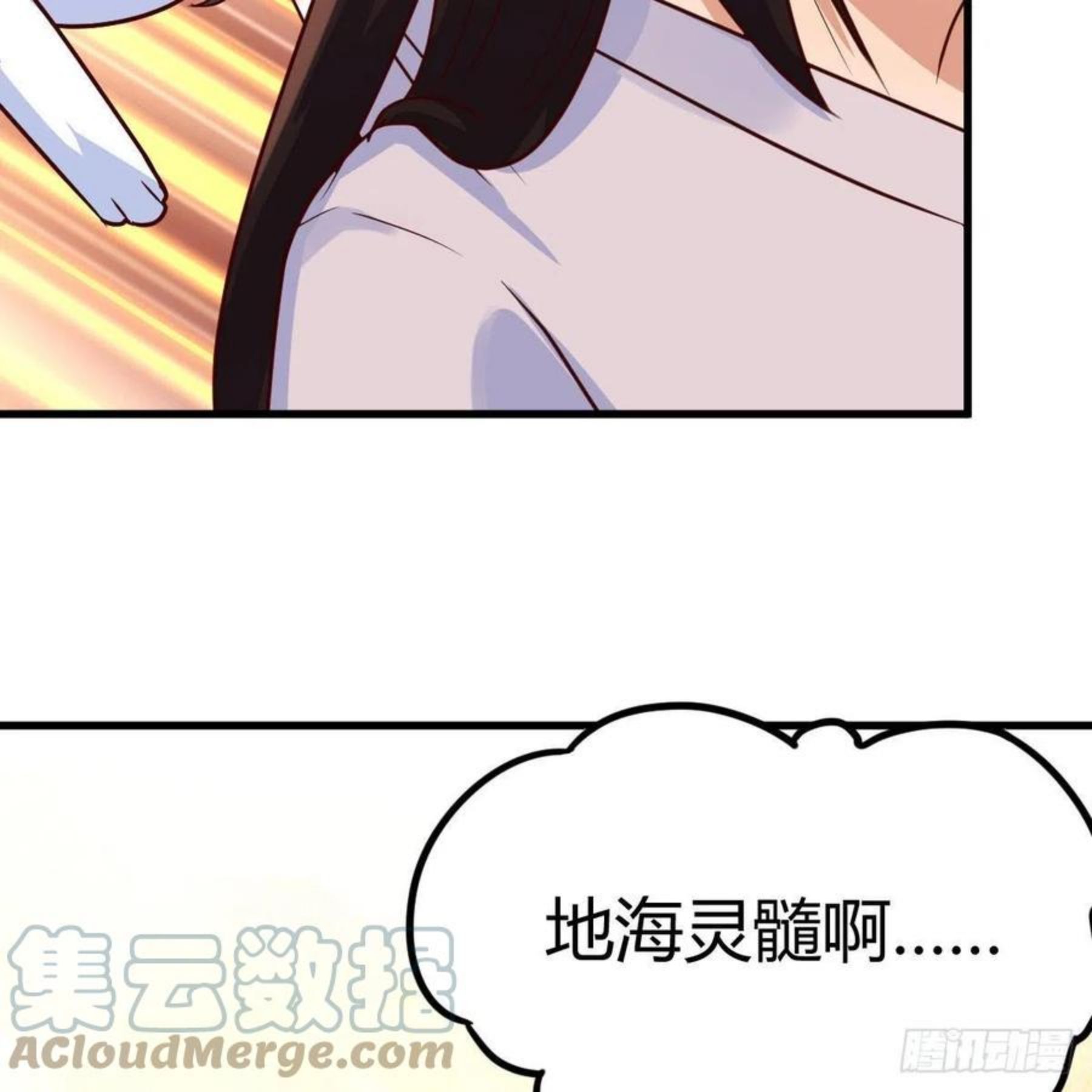 老规矩4