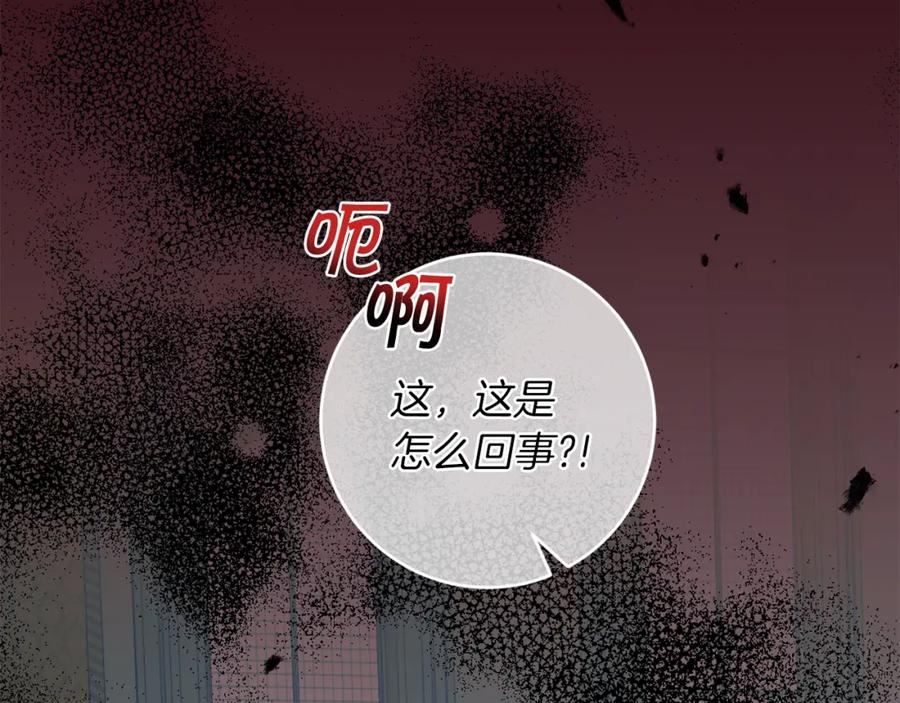 第116话 捕鼠行动1
