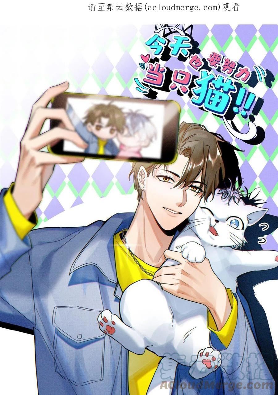 今天也要努力当只猫漫画免费阅读漫画,97 嫂子——！1图