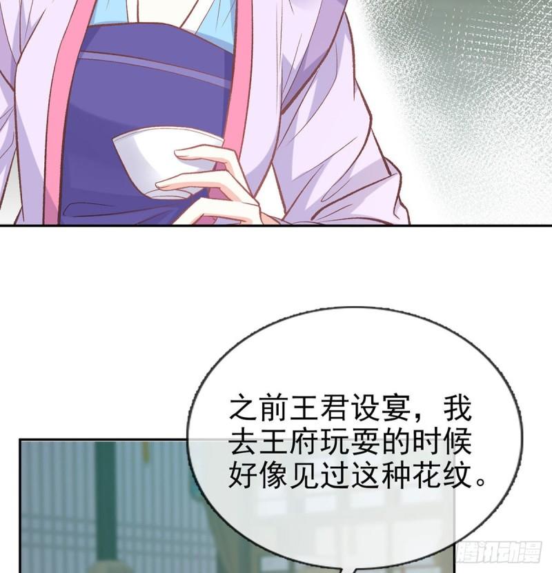 平南王的私生子？3