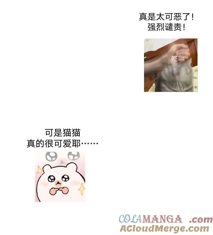 调更 一女子 竟为了去看猫……1