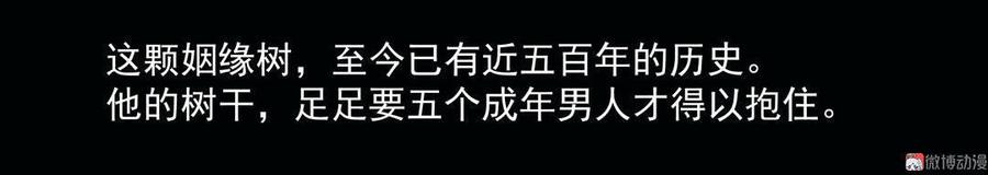 第84话 姻缘树4