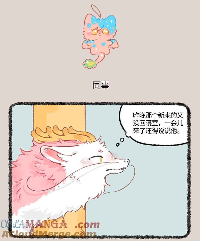 1007 正式上岗3