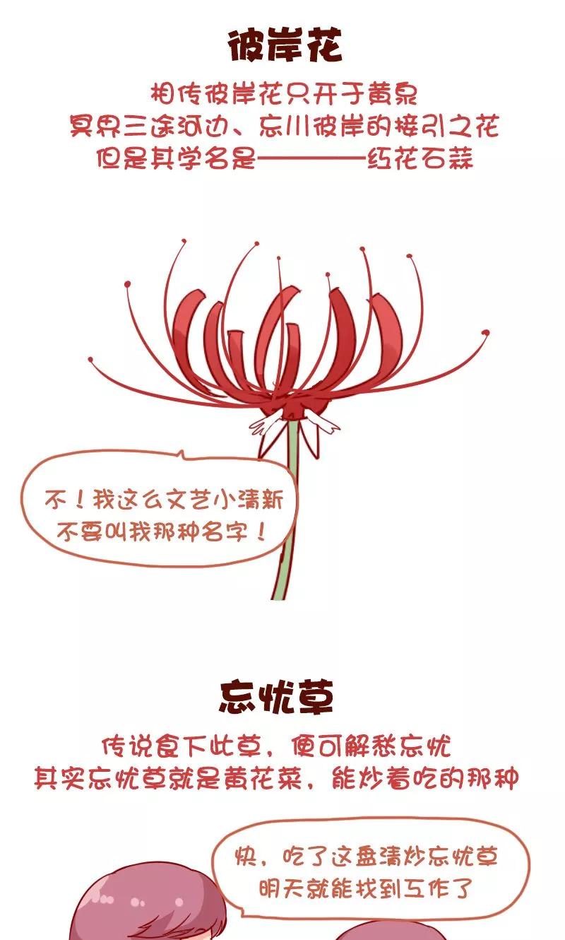 第1044话 听起来高大上实际上很普通的东西1