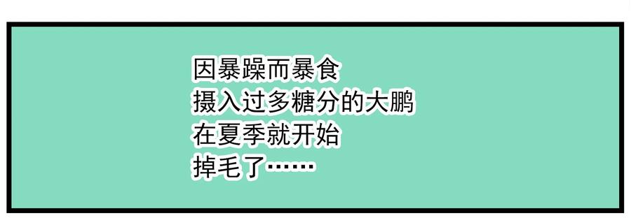 天高51 西城天高-51-易燃易爆1