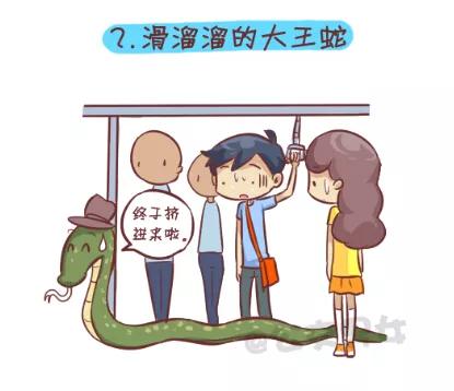 第266话 十种动物挤公交2