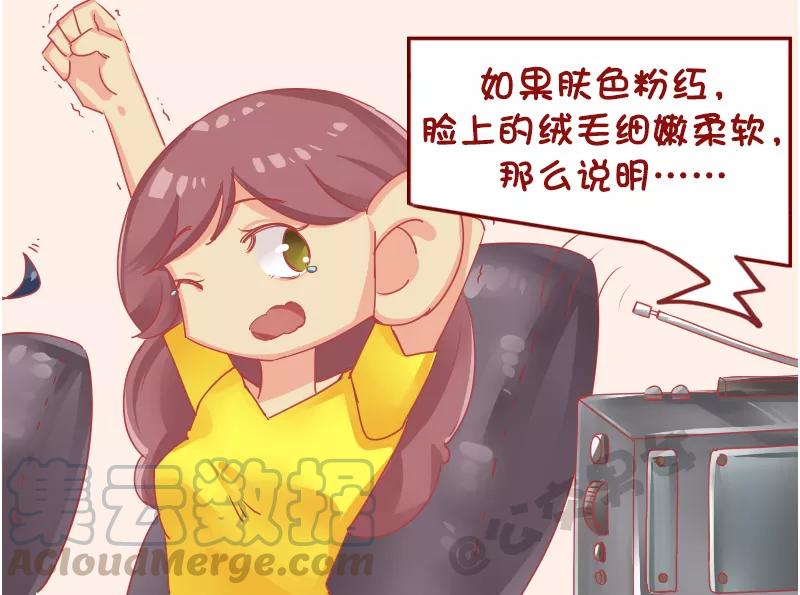 第1130话 养猪知识讲座2