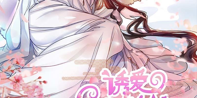 情缘因果1