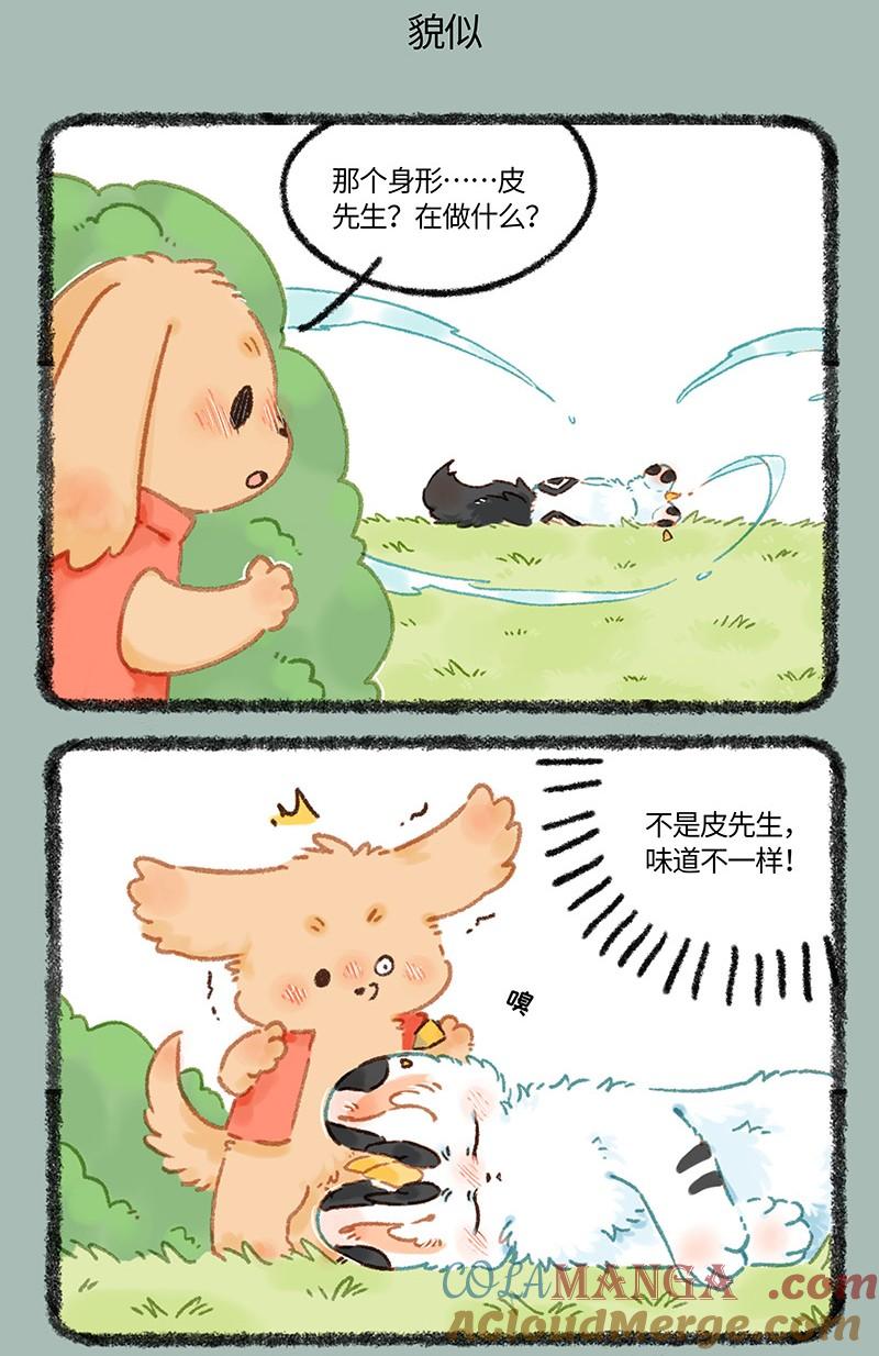 1022 暴雨过后4