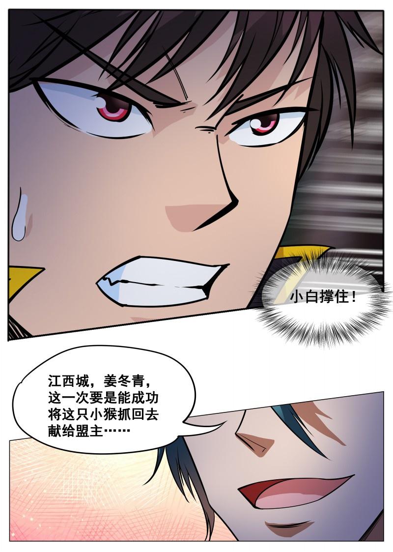 第62话 救小白1