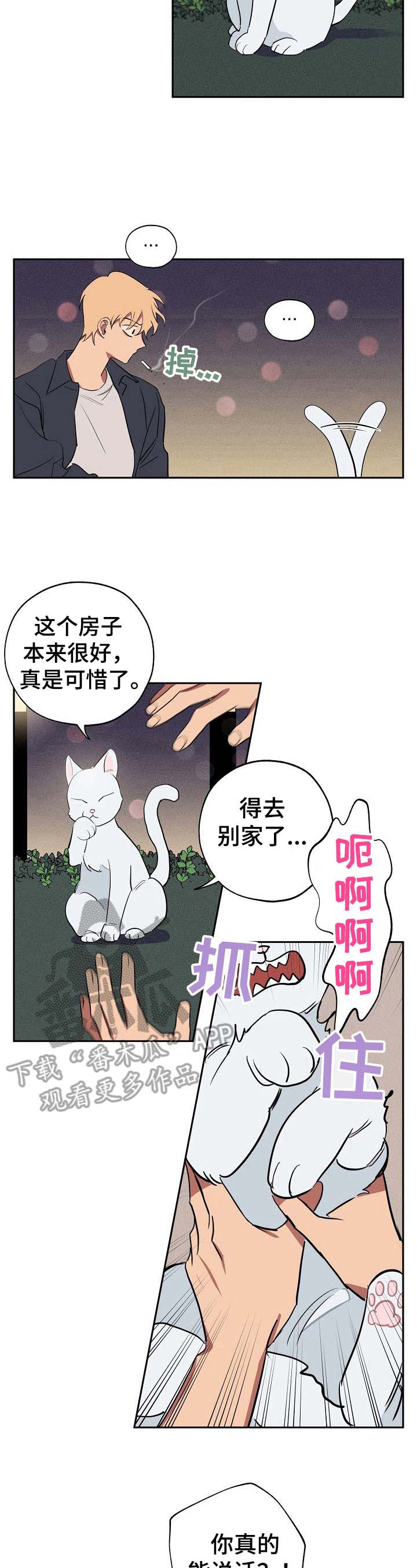 记忆规律的包含遗忘再认再现漫画,第33章：忠告5图