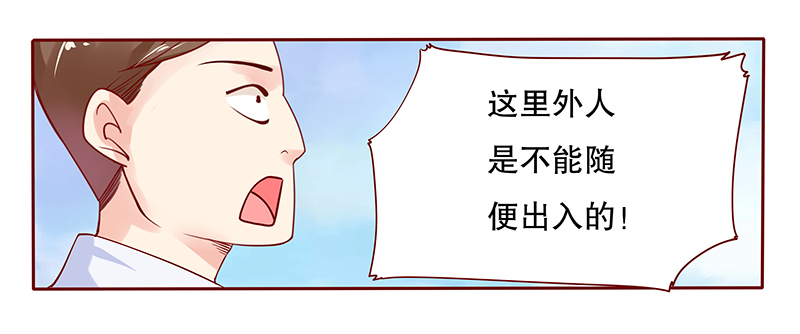 第82章：原来是三胞胎2