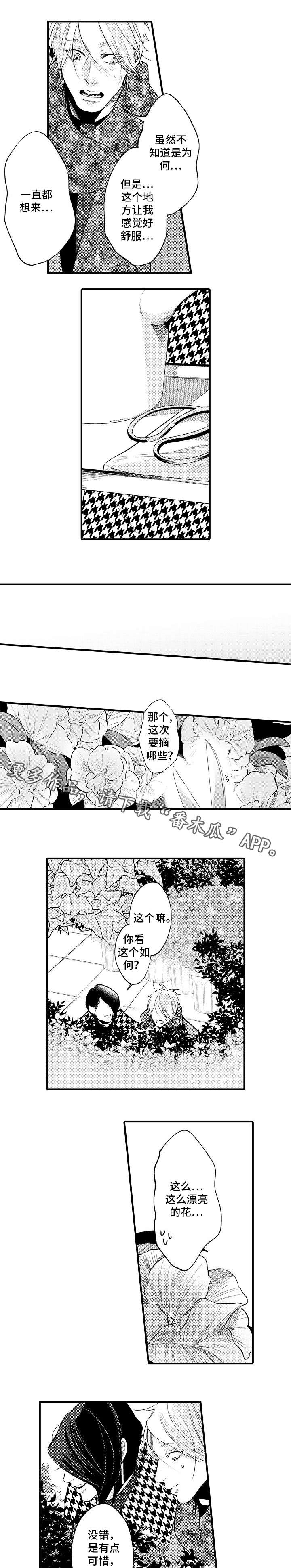 花香信息素漫画,第28章：开心的原因3图