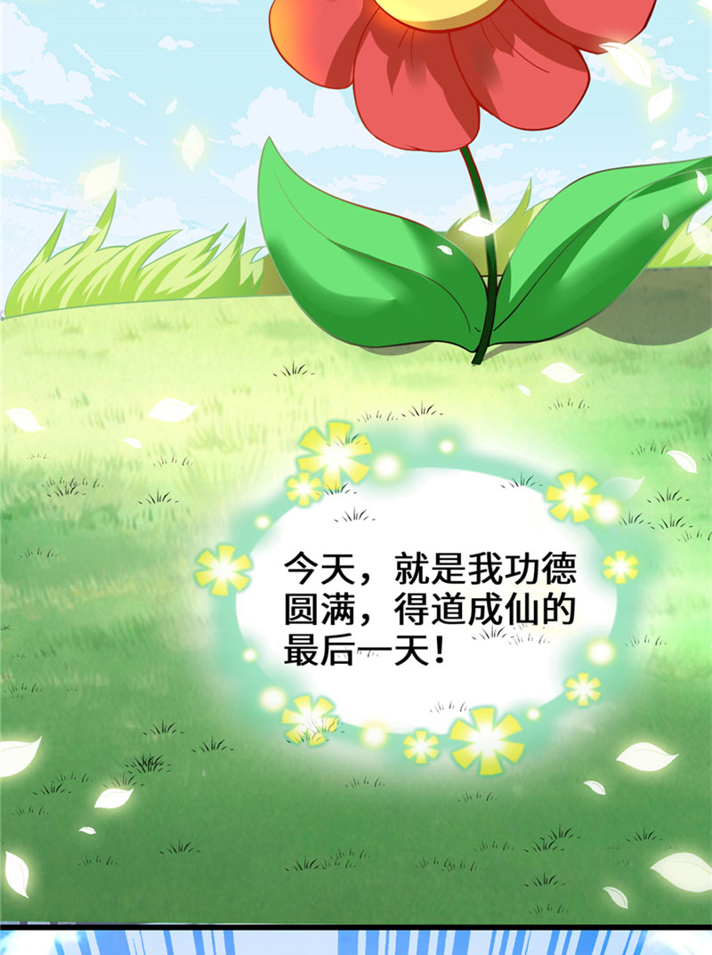 我修的可能是假仙免费阅读漫画,第33话 下凡！4图