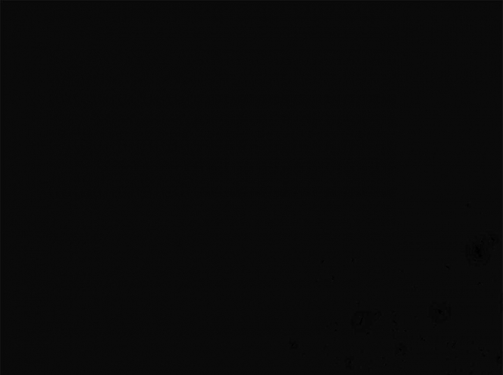 第80话0