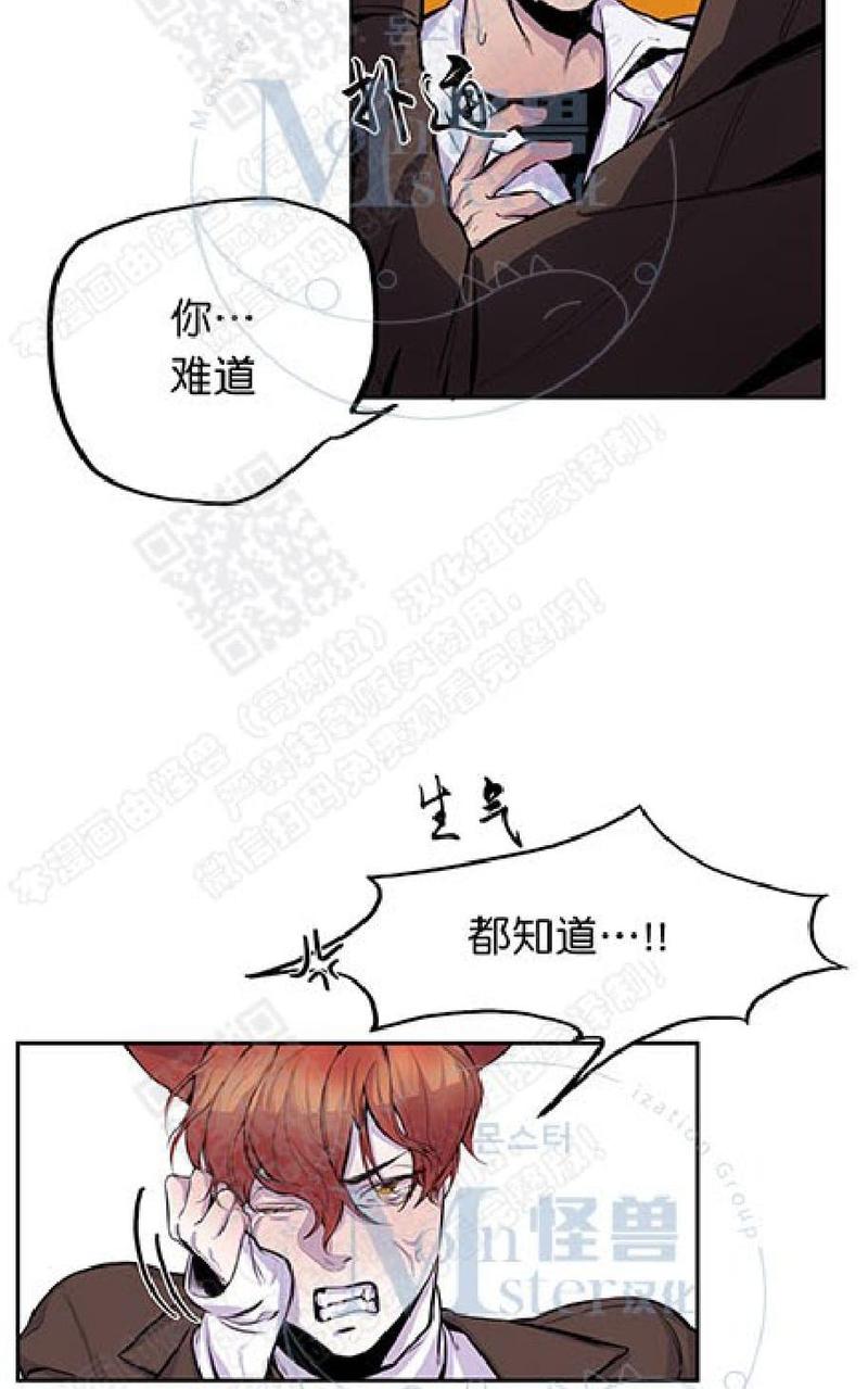 摇尾巴的猫咪玩具漫画,第6话3图