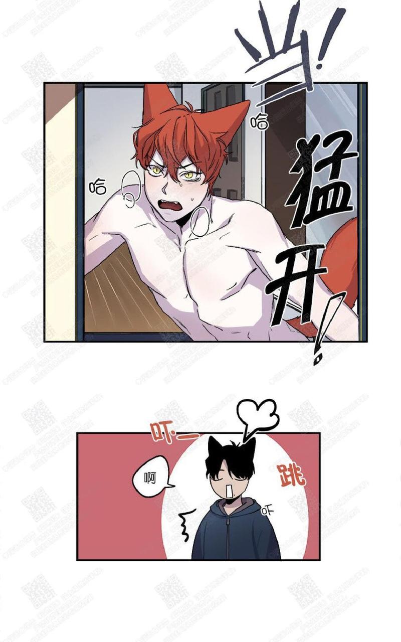摇尾巴的猫咪玩具漫画,第21话4图