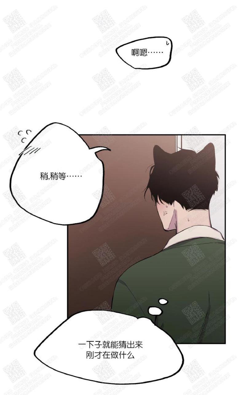 摇尾巴的猫咪玩具漫画,第16话3图