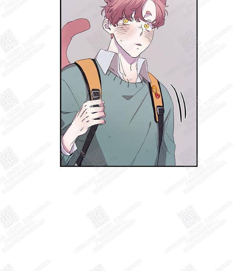 摇尾巴漫画,第14话2图