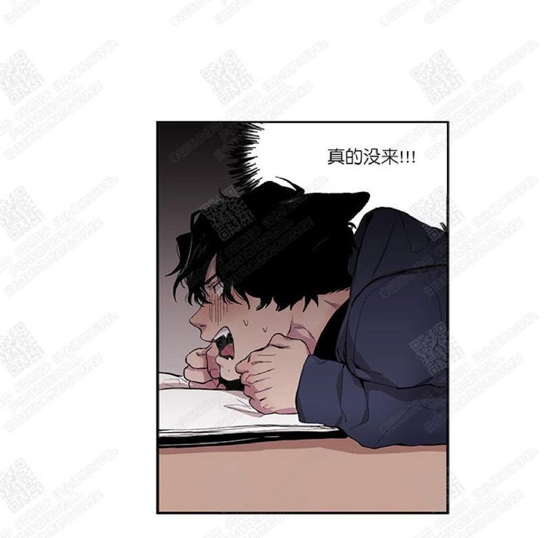 摇尾巴漫画,第14话4图
