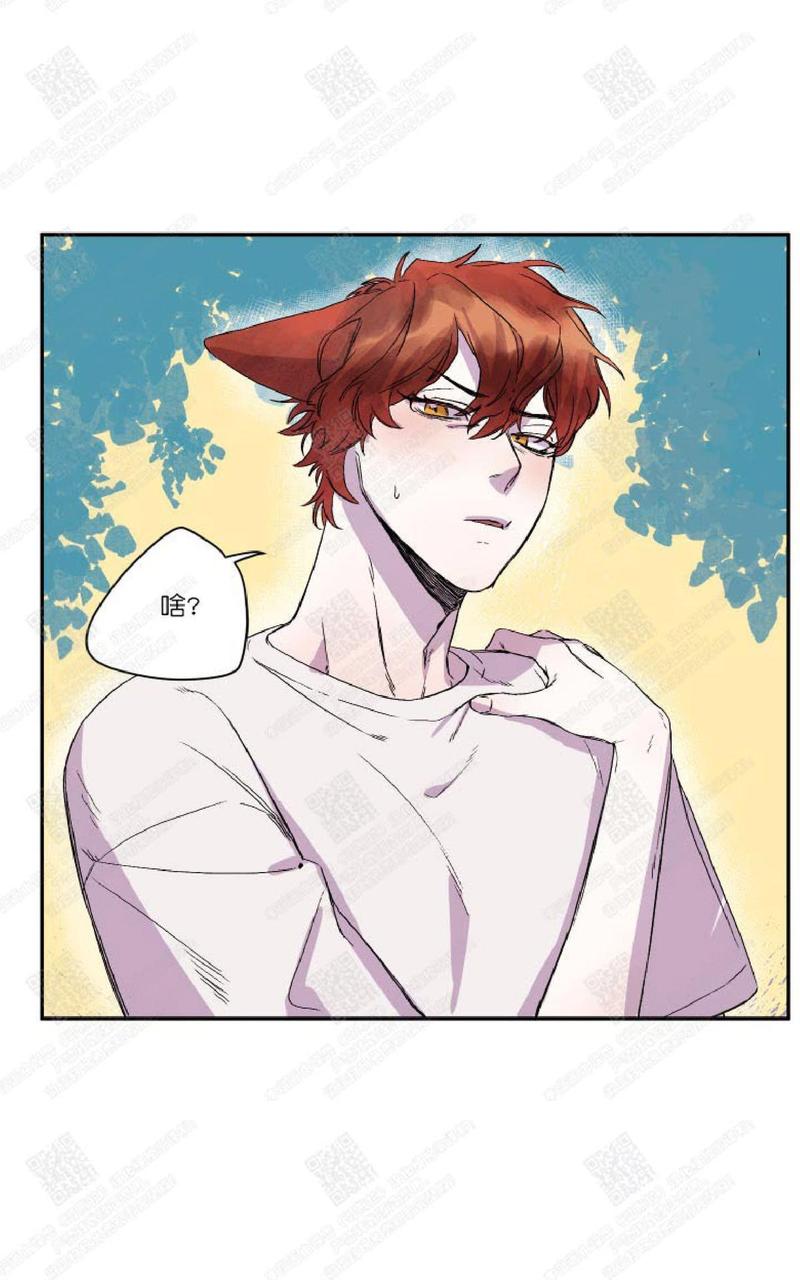 摇尾巴摆尾巴甩尾巴有什么不同漫画,第17话5图