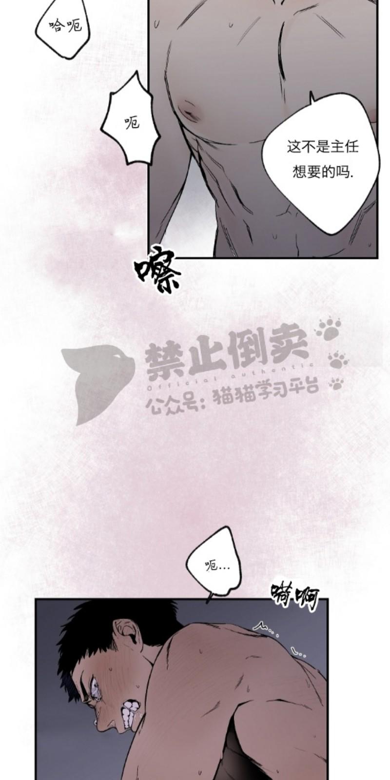 暗香疏影是什么意思百科手机版漫画,第二部-序4图