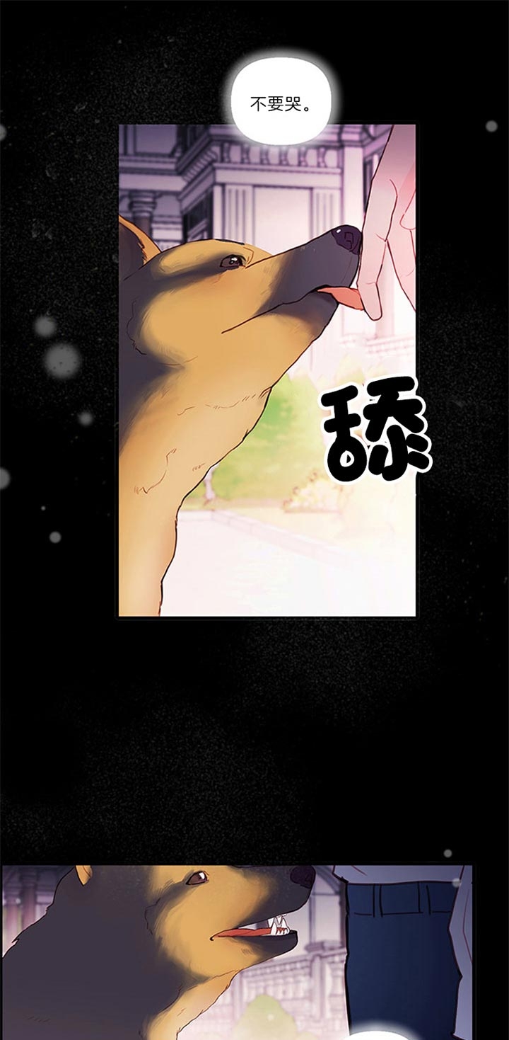 恶魔之舞泰剧在线观看免费全集漫画,第70话1图
