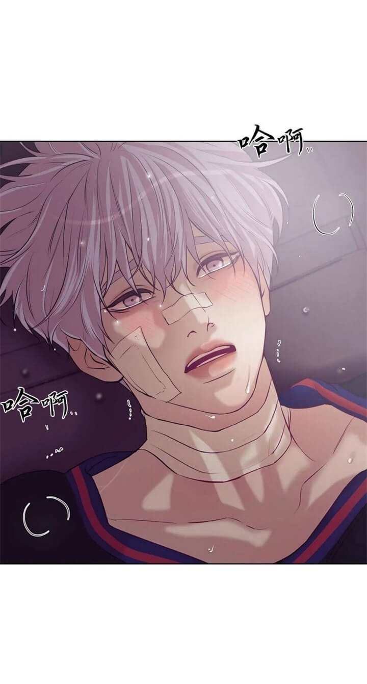 贝壳少年珍珠少年完整版免费漫画,第86话4图