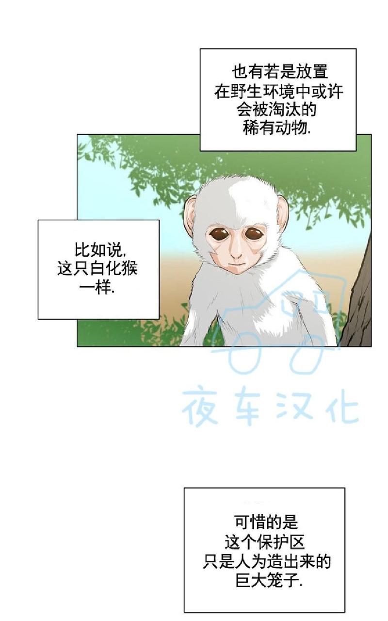 动物王国开大会作文300小学三年级漫画,第6话4图