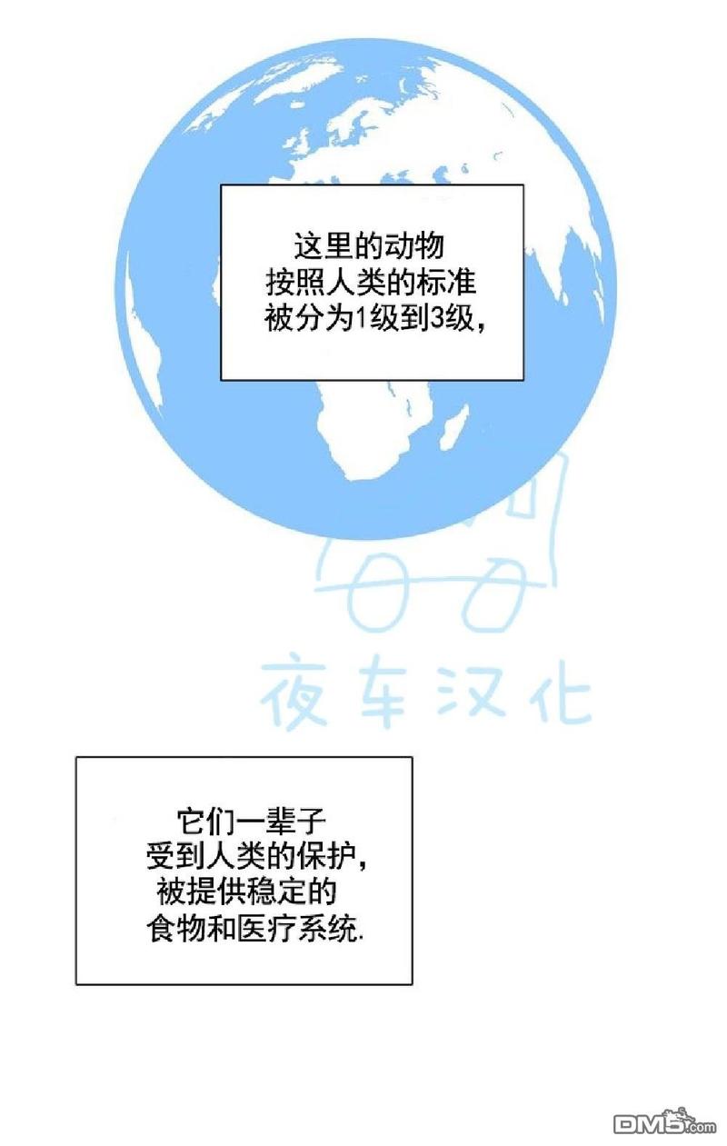 动物王国开大会作文300小学三年级漫画,第6话5图