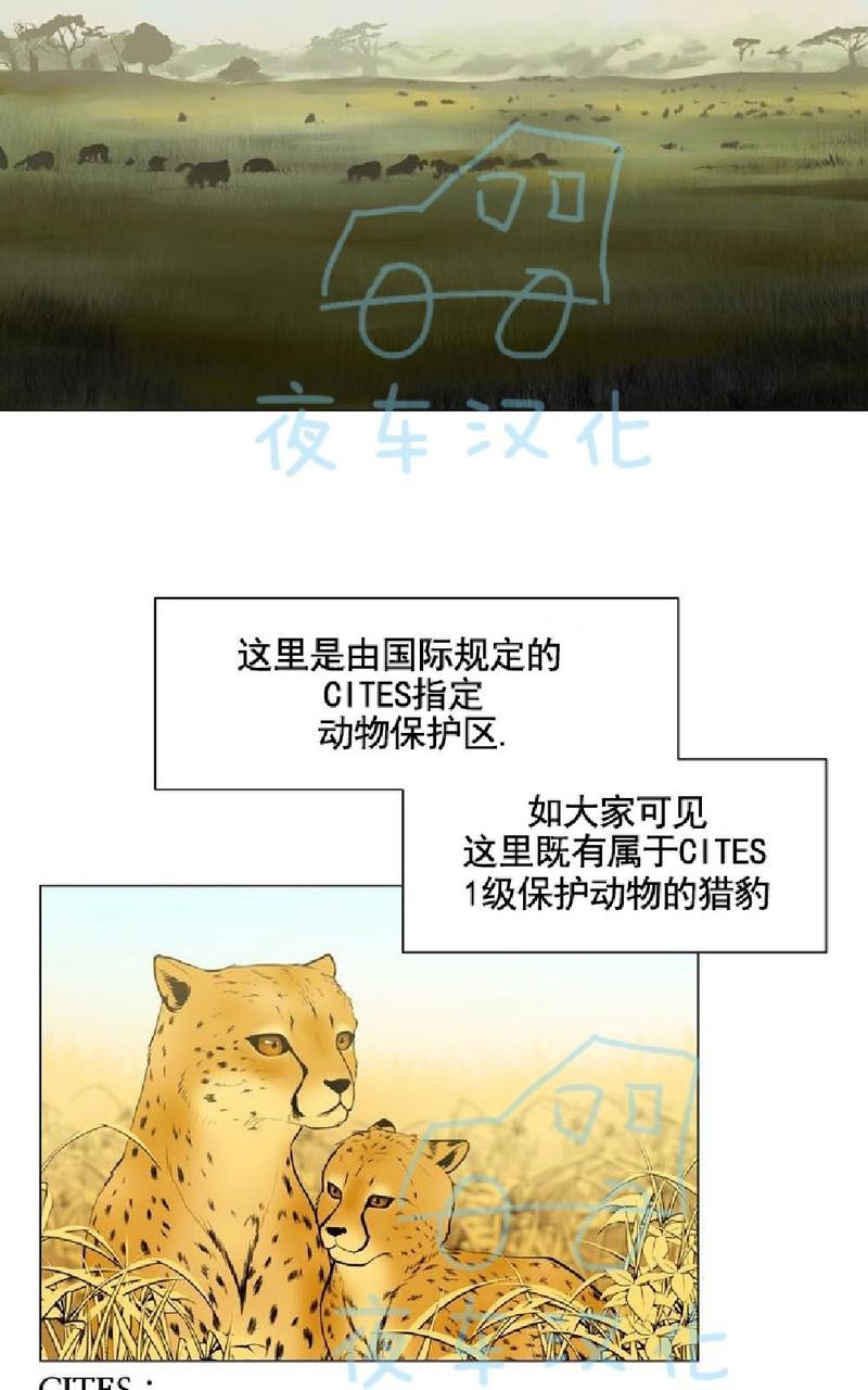 动物王国开大会作文300小学三年级漫画,第6话2图