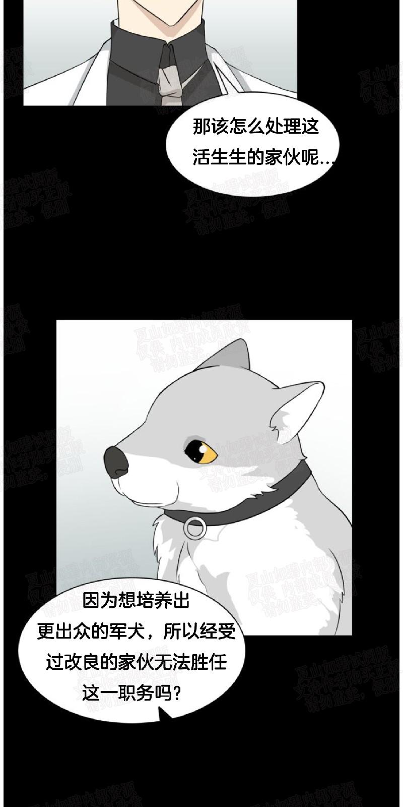 动物王国大冒险第二季漫画,第6话4图