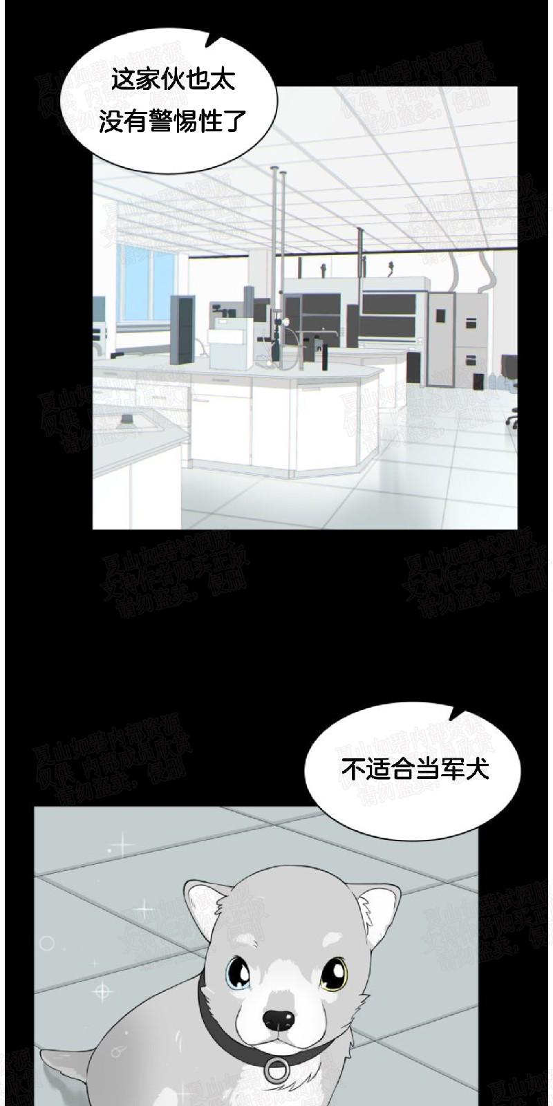 动物王国大冒险第二季漫画,第6话1图