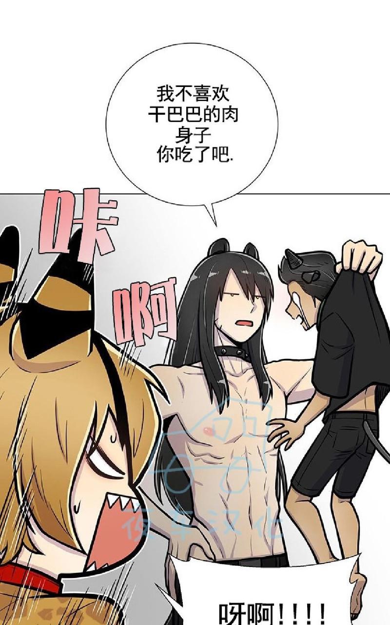 动物王国大冒险网盘漫画,第9话4图