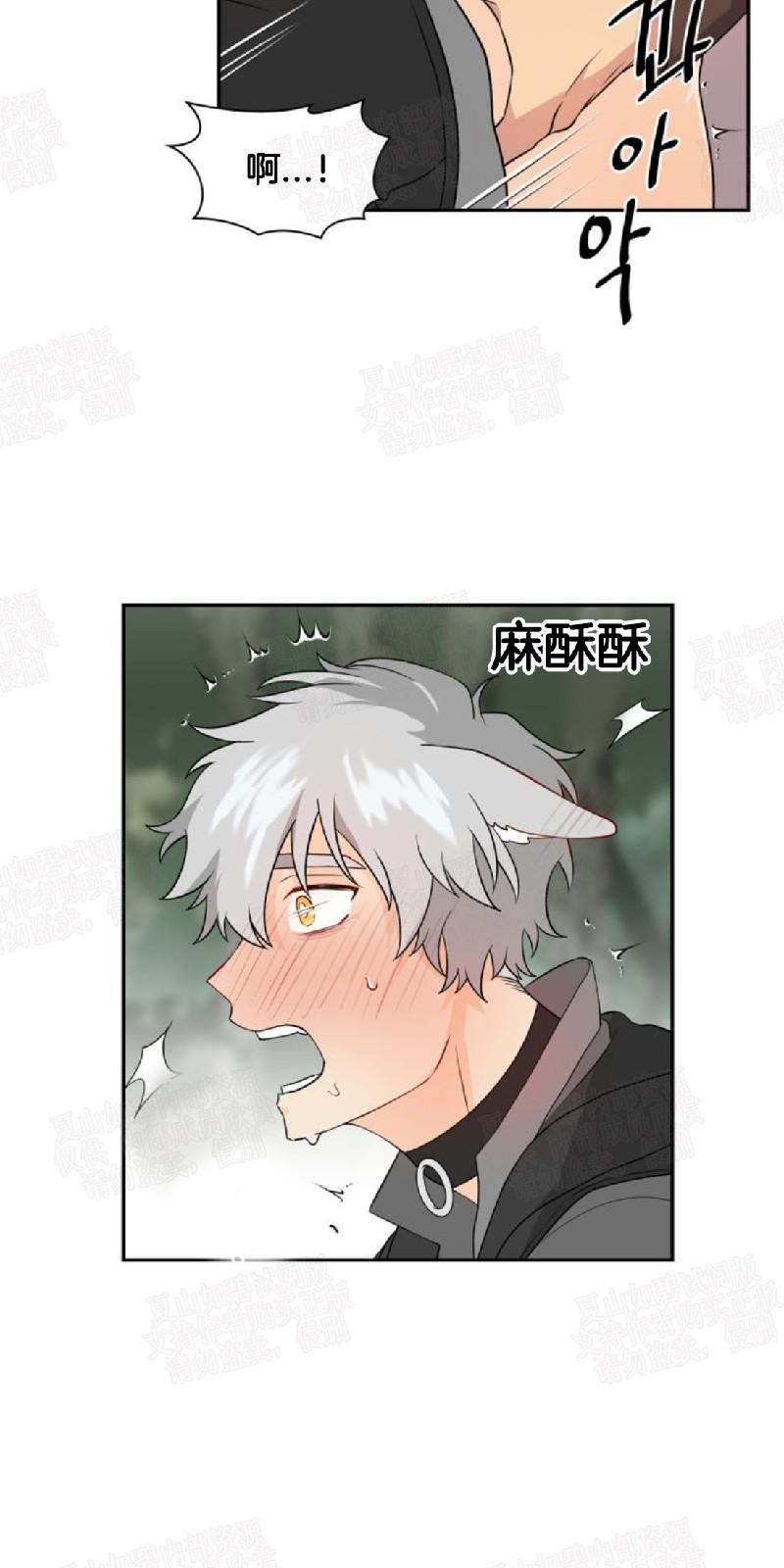 动物王国开大会小报漫画,第7话4图