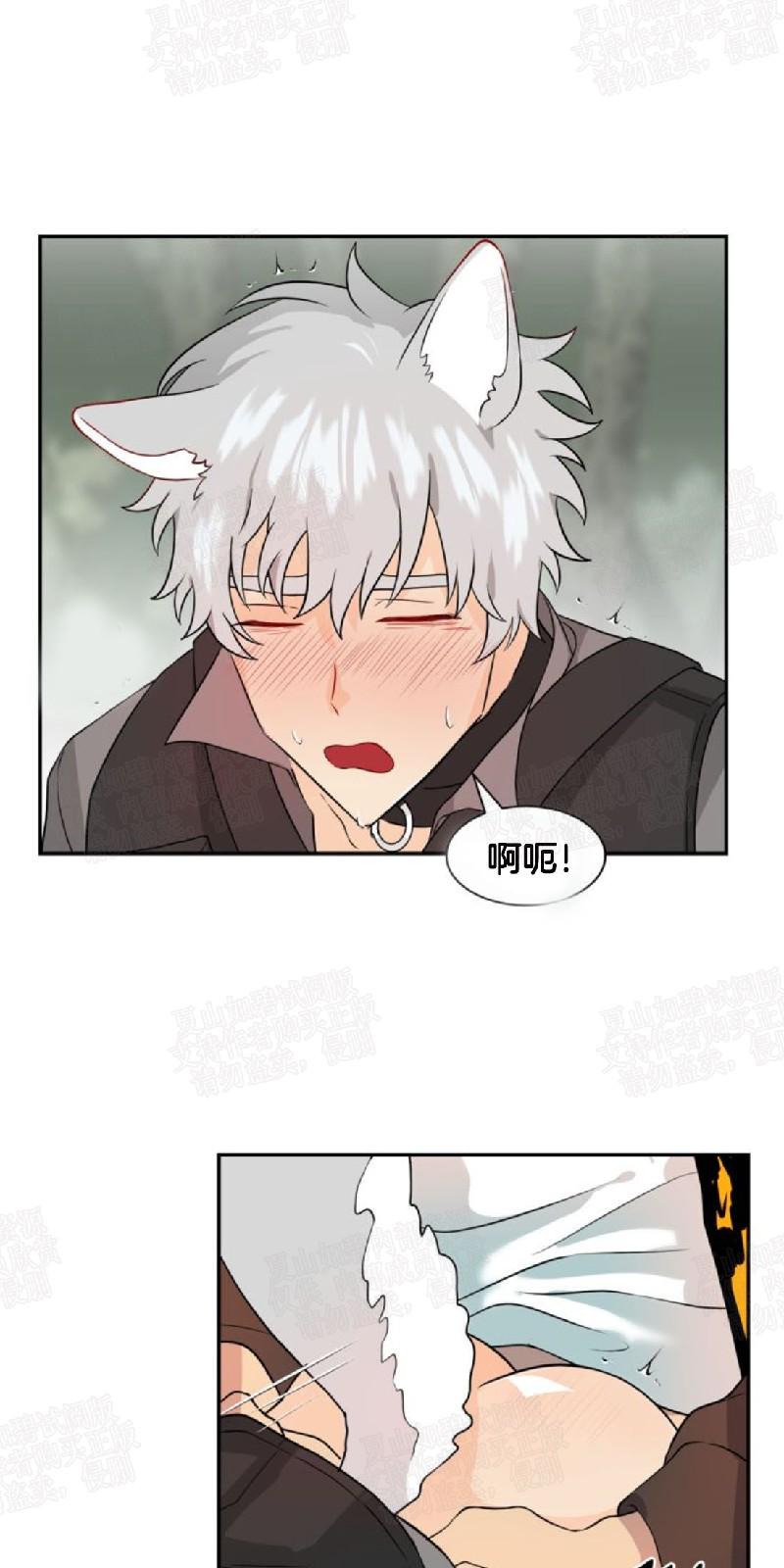 动物王国开大会小报漫画,第7话3图