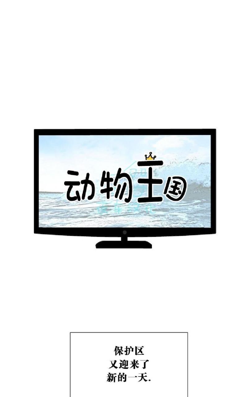 动物王国开大会作文300小学三年级漫画,第13话1图