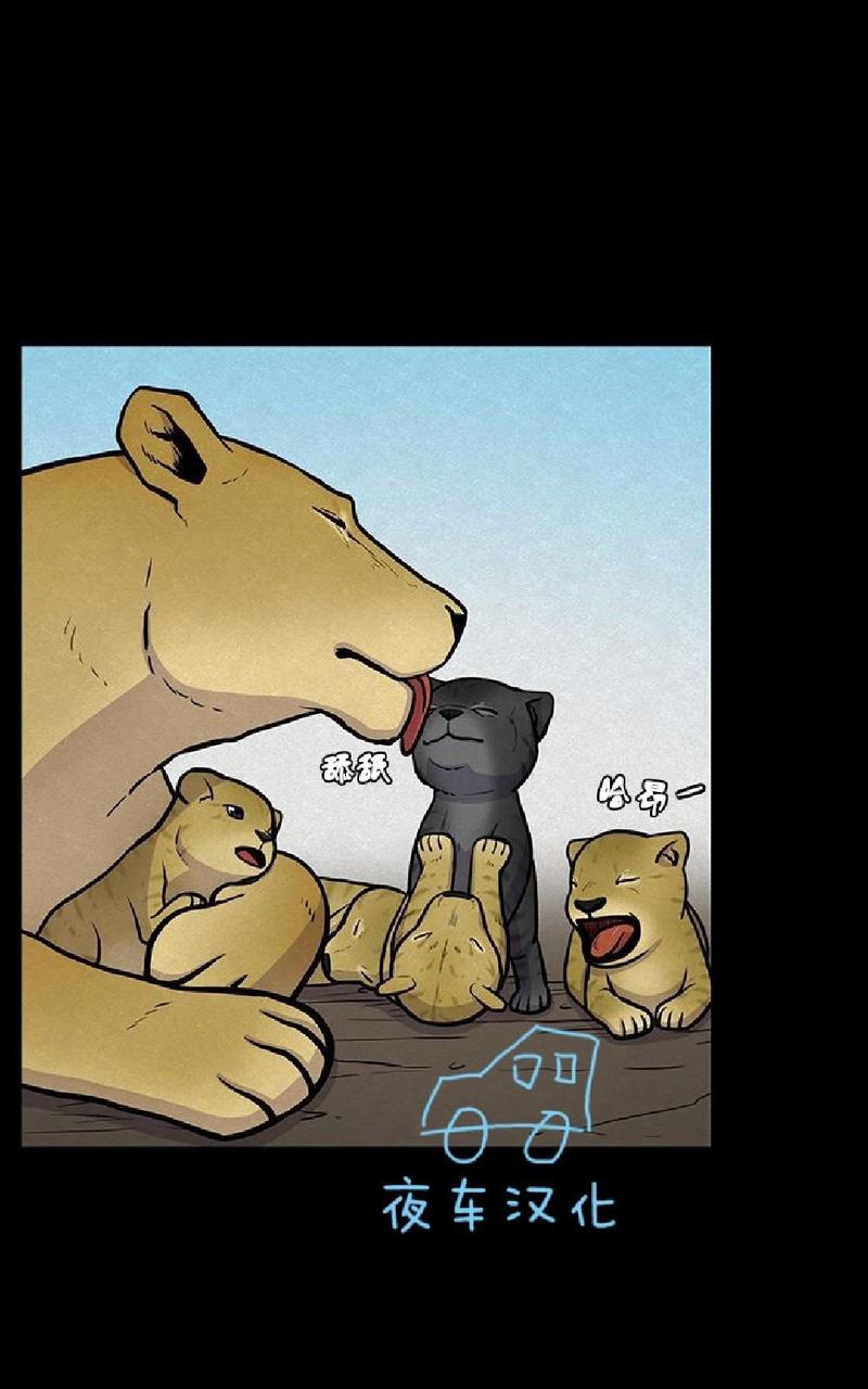 动物王国大冒险网盘漫画,第11话2图