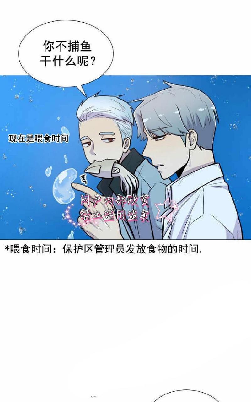 动物王国开大会作文300小学三年级漫画,第18话5图