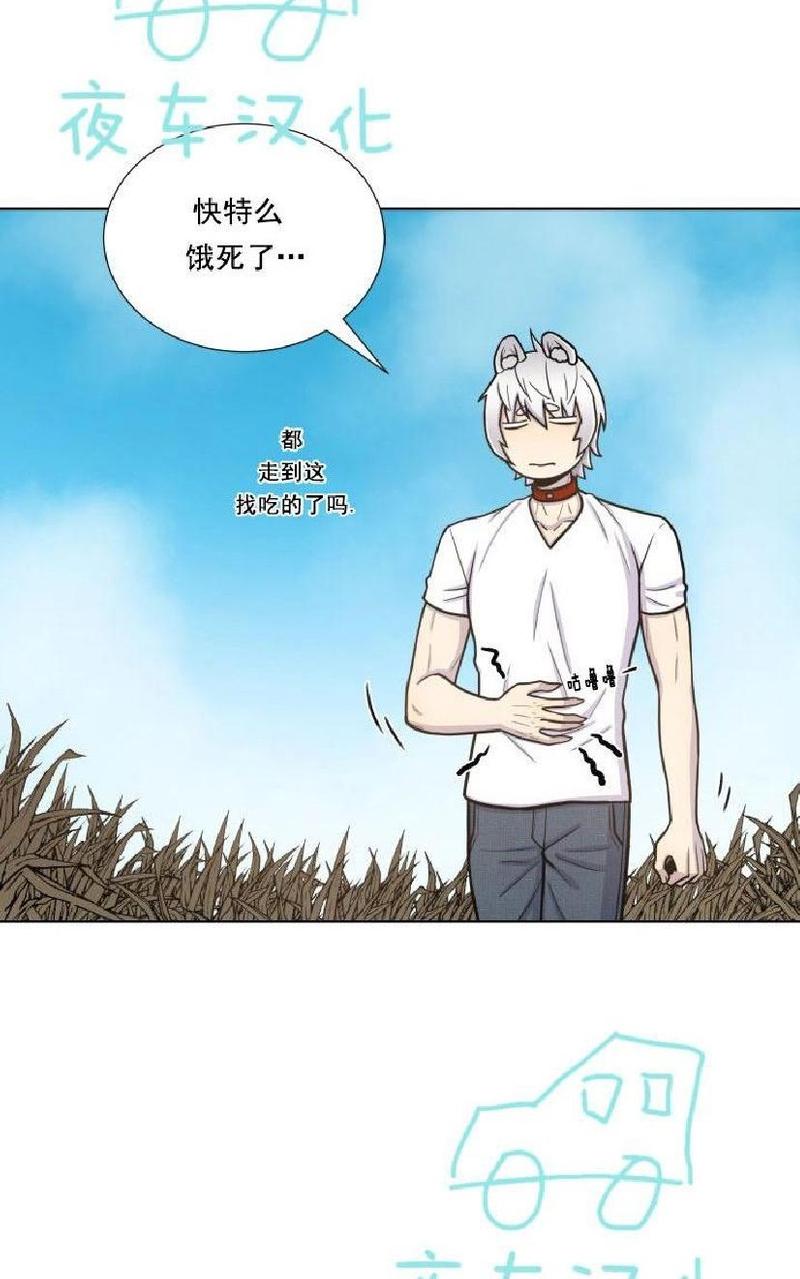 动物王国开大会作文300小学三年级漫画,第39话2图