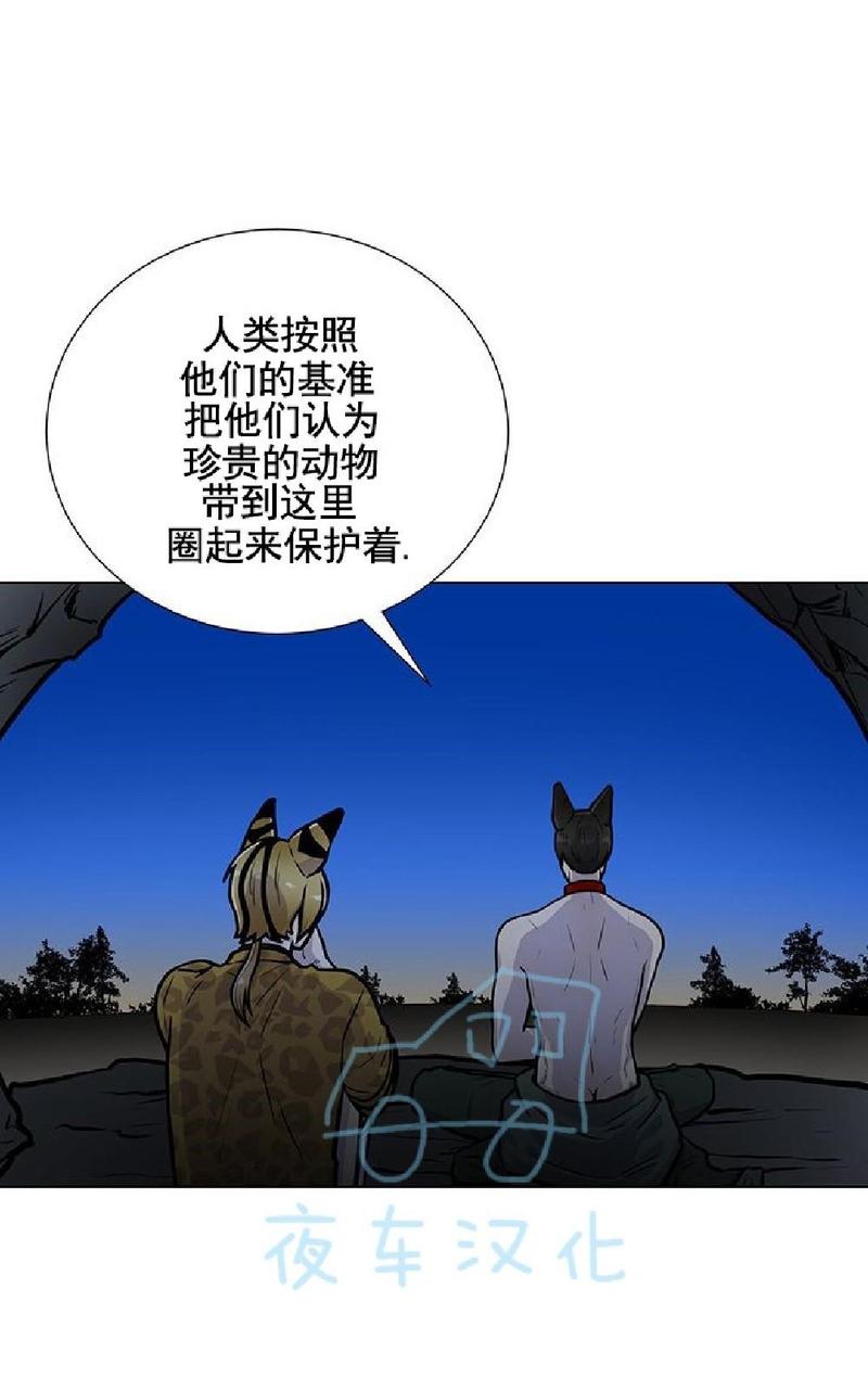动物王国大冒险第二季漫画,第2话5图