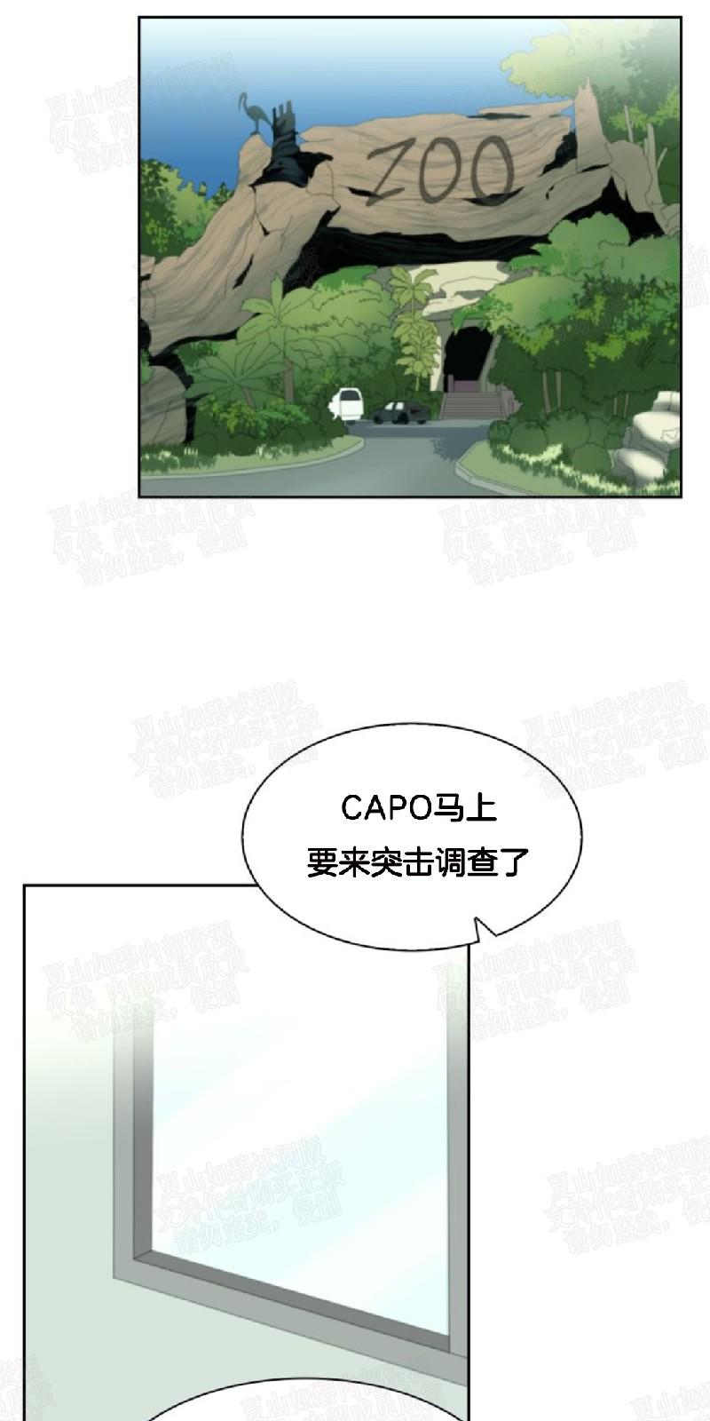 动物王国大冒险网盘漫画,第21话1图