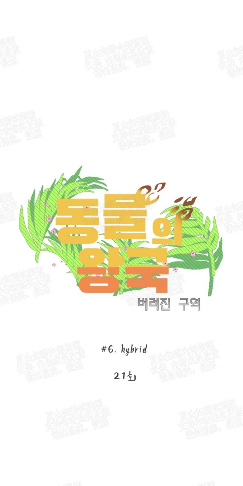 动物王国大冒险网盘漫画,第21话4图