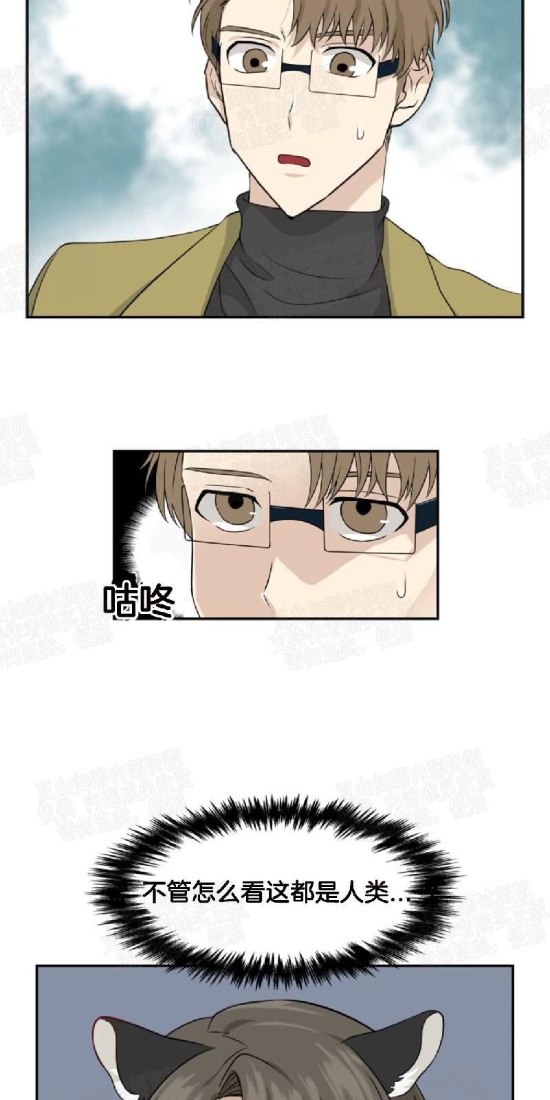 动物王国大冒险网盘漫画,第8话4图