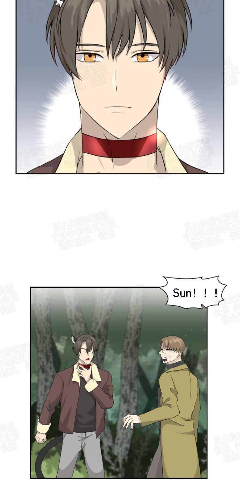 动物王国大冒险网盘漫画,第8话5图
